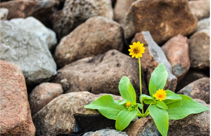 人类生活的目的？