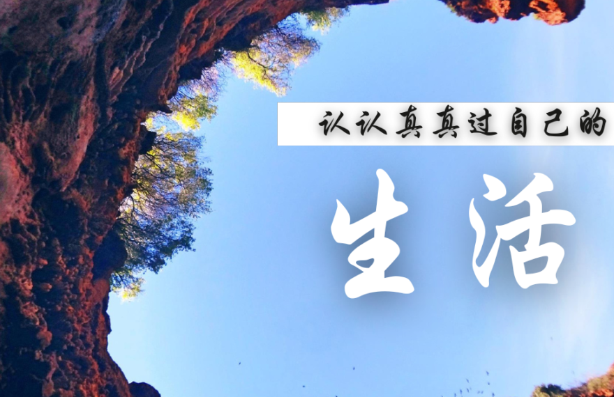 认认真真过自己的生活